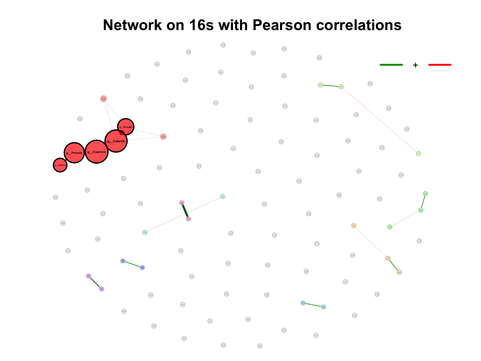 Network on 16s with Pearson correlations