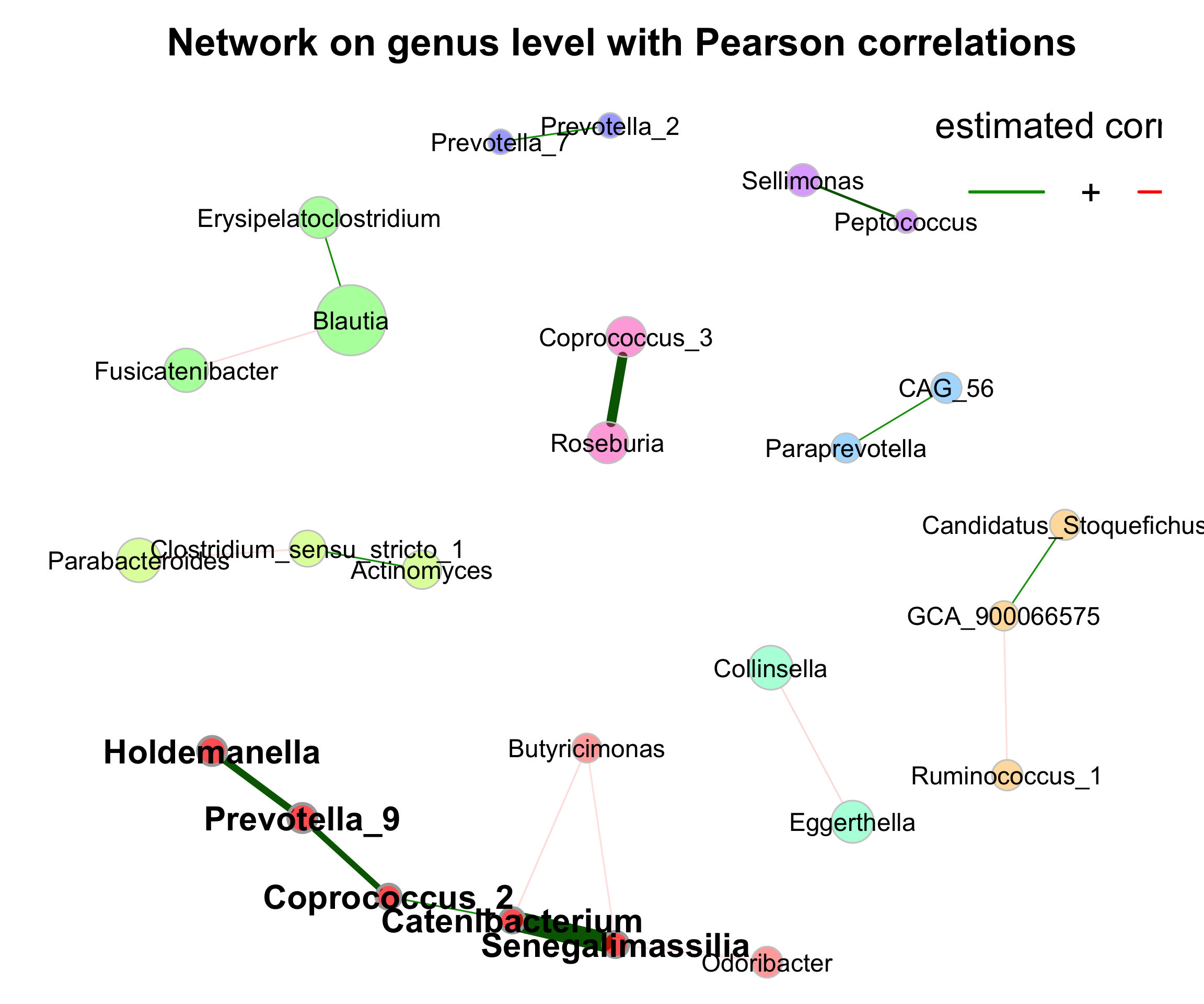Network on 16s with Pearson correlations (Genus)