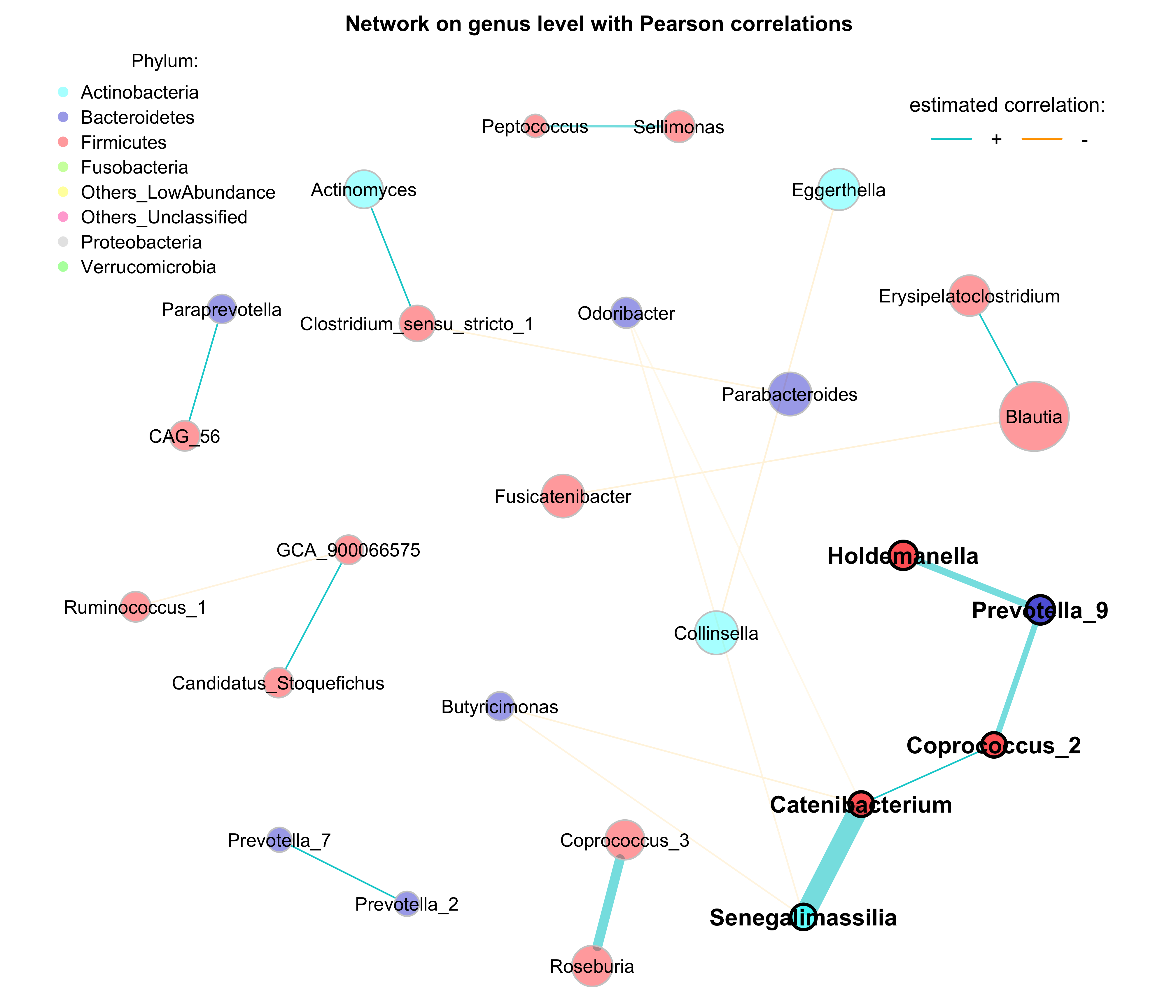 Network on 16s with Pearson correlations (Annotation)